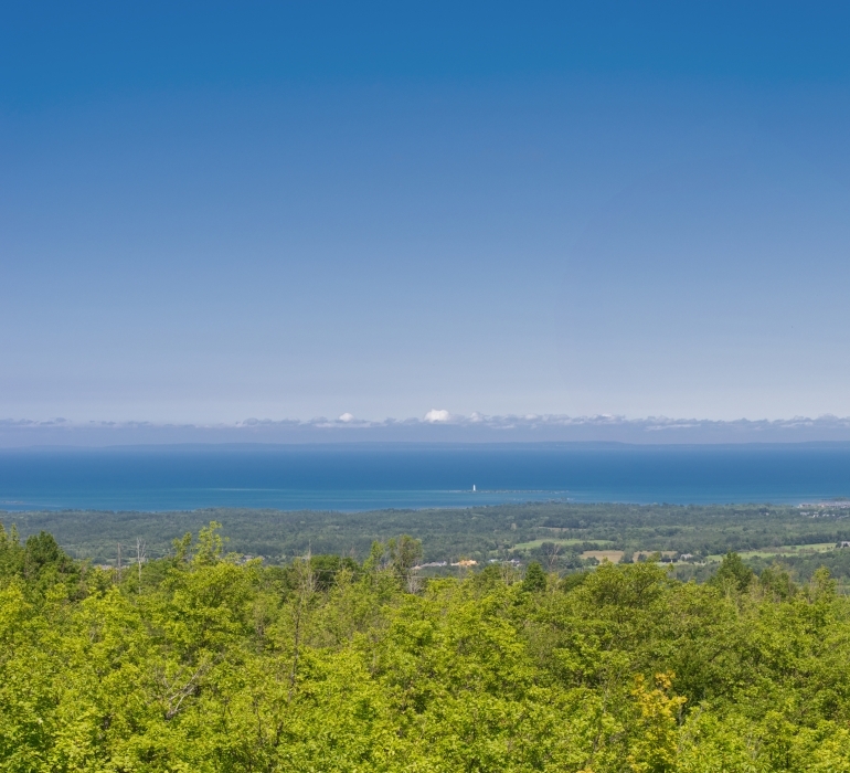 Blue Mountains